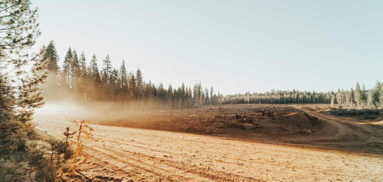 GreenStone Commodity Update: Timber Outlook