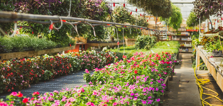 GreenStone commodity update, greenhouses