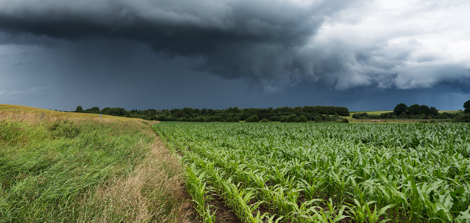 GreenStone Crop Insurance