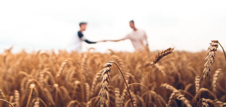 Two people shaking hands in field.