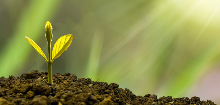 Super Cycle Dr Kohl Header Image