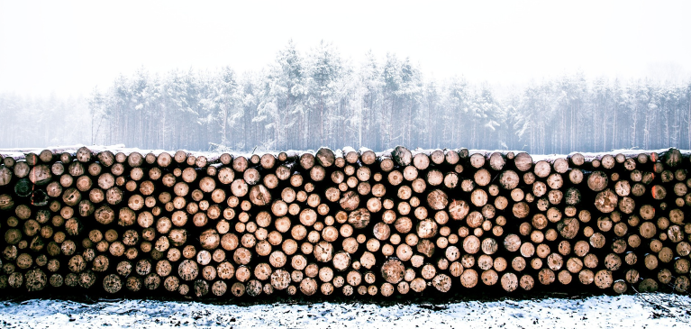 GreenStone Timber Seminars 2022