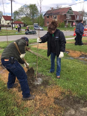 Vice president of technical services, Bob Check, and Michelle Bartkovich, controller, work together to plant trees in Detroit