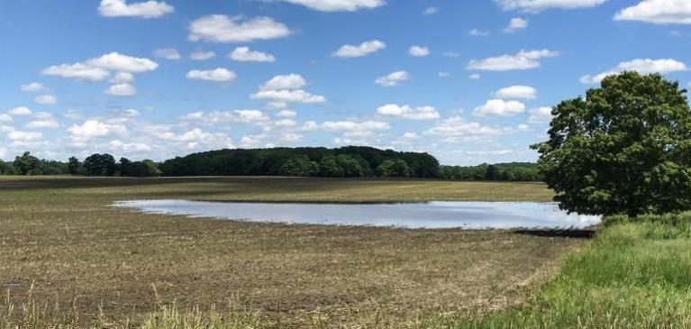Blue skies and clouds overlooking wet, flooded field.
