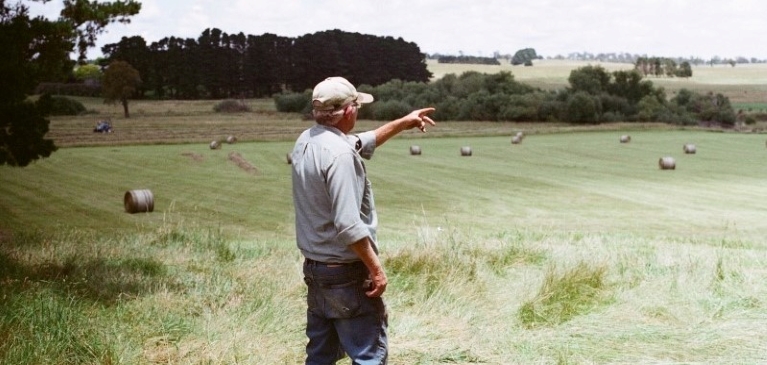 Older male farmer standing in his field in the country pointing at the hay bails wearing dirty worn jeans and button up shirt