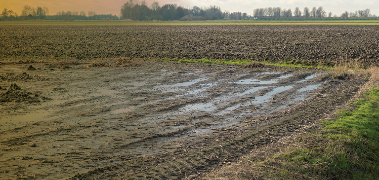 Flooded field