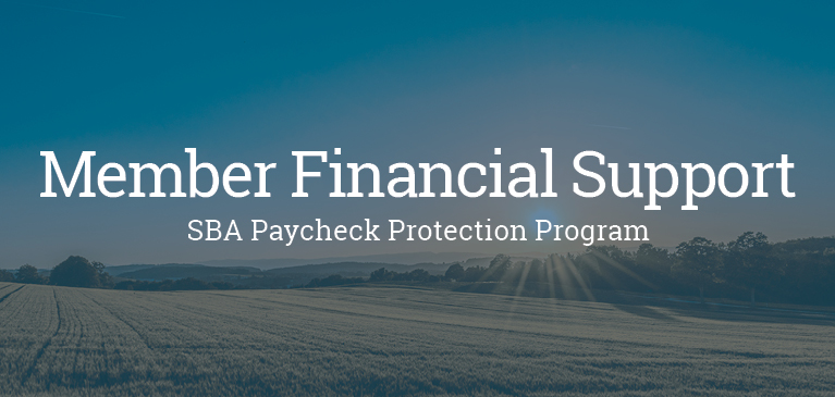 SBA Paycheck Protection Program Field Blue