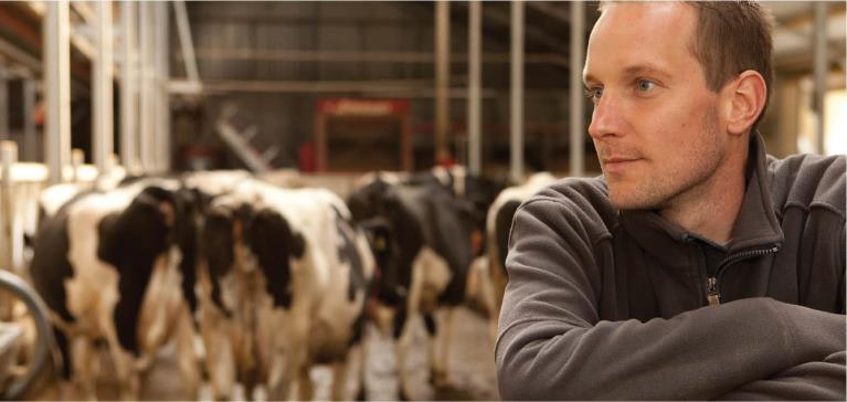 dairy farmer in front of cows