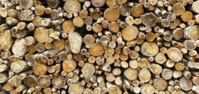 Pile of round small logs in a wood pile ready to be burned in a wood-burning fireplace in winter.