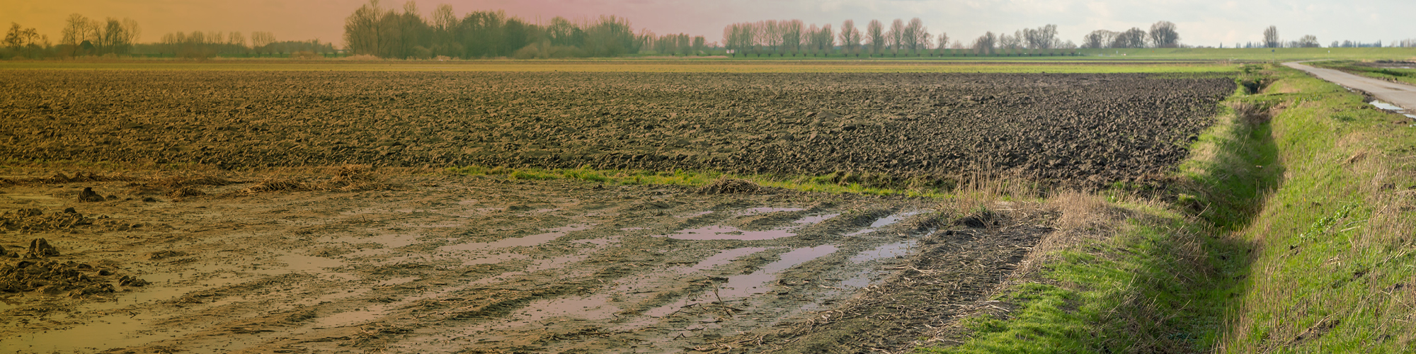 Understanding Prevented Planting GreenStone FCS