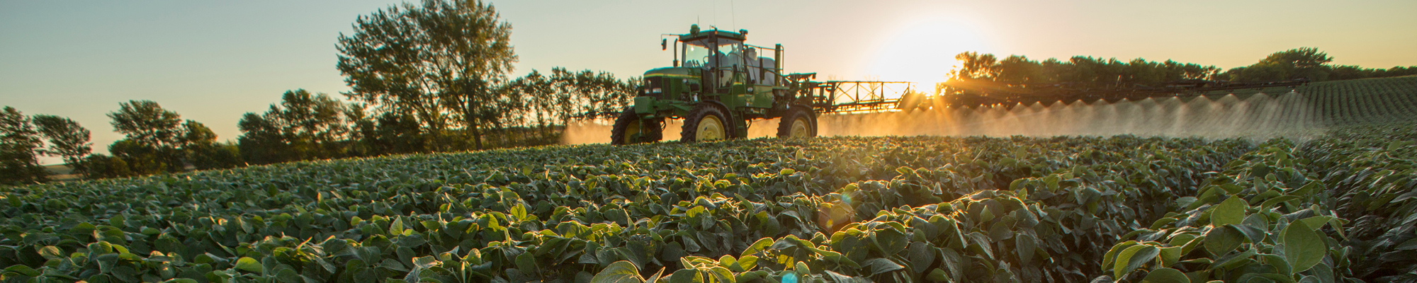Tractor driving through field at sunset