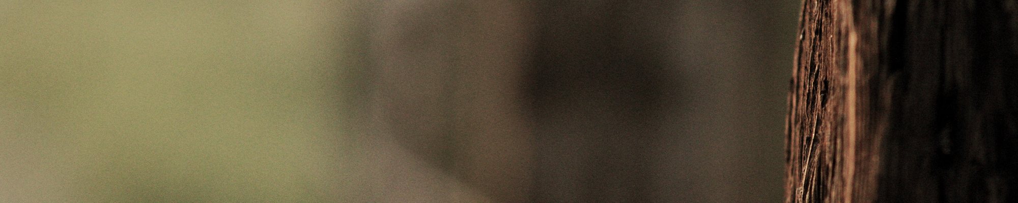 Close up of fence post