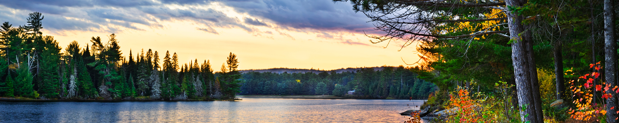 Lake during the fall season with bring trees surrounding the lake during sunset