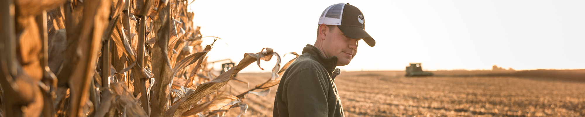 Young farmer in corn field