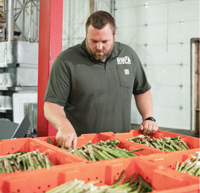Asparagus packing facility