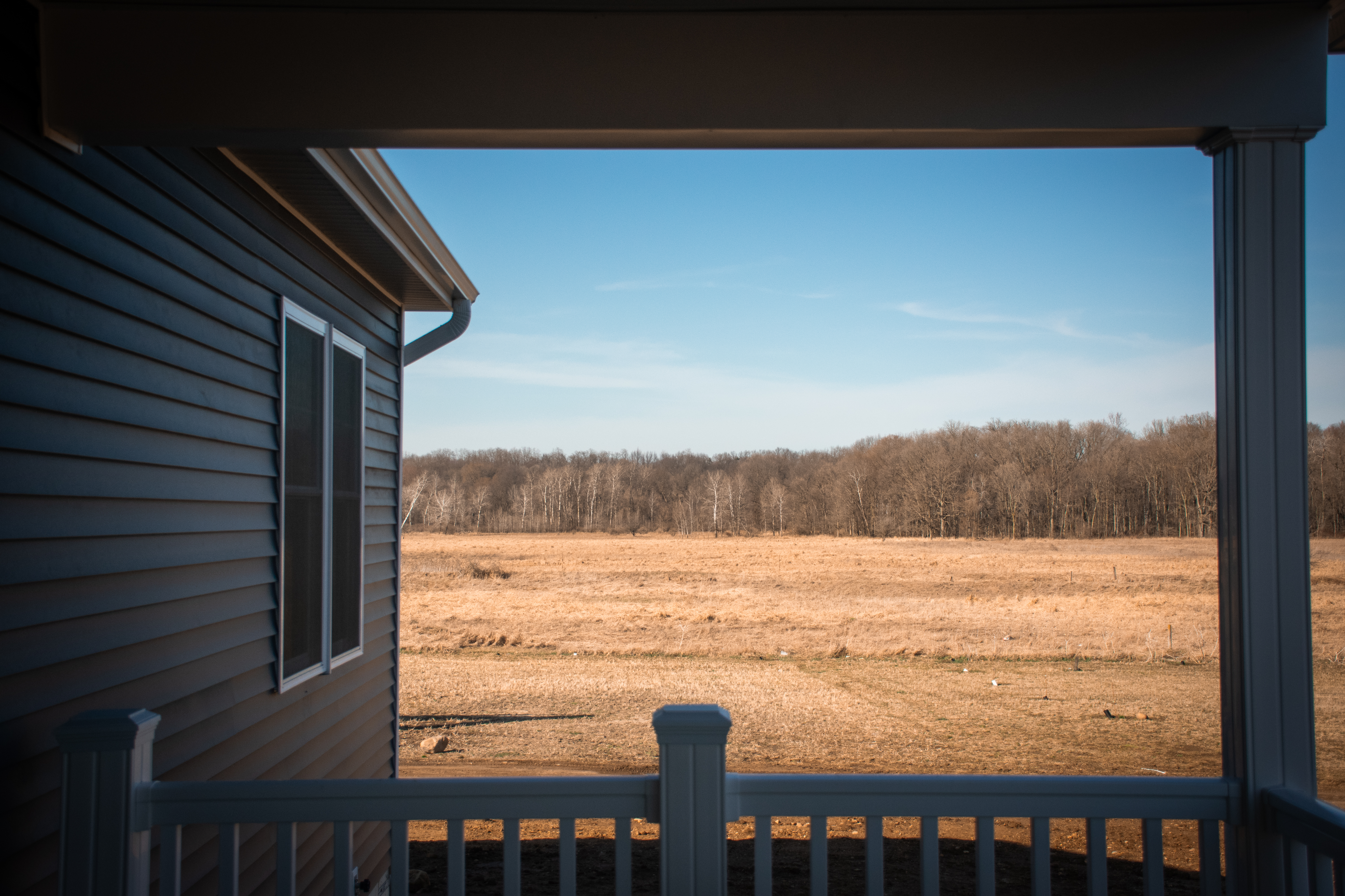 field with woods behind it