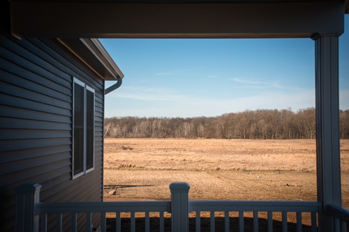 field with woods behind it