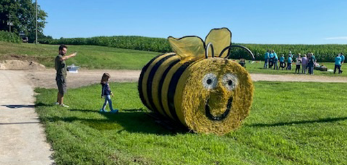 Round bale decorated as a bee
