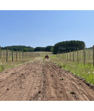 apple orchard getting ready to plant