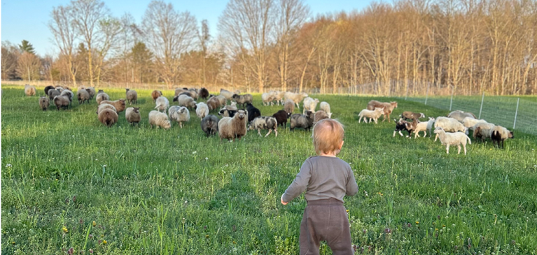 Wild Coyote Farm