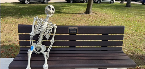 Halloween skeleton decoration sitting on bench