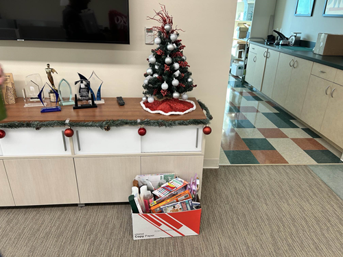 Small Christmas Tree with a box of donations under it