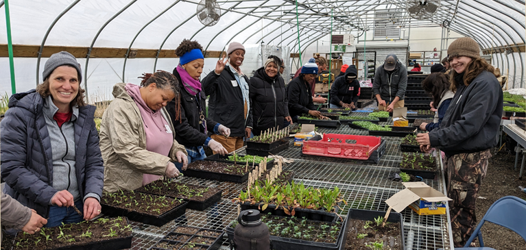 People in a greenhouse planting plants.