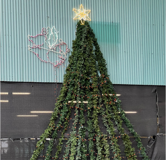 Christmas Tree lights