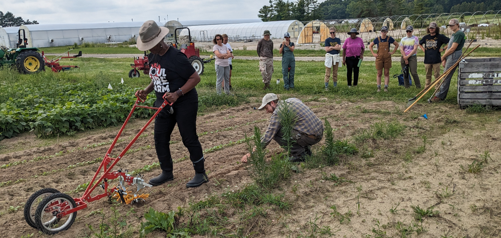 People harvesting seeds from the ground