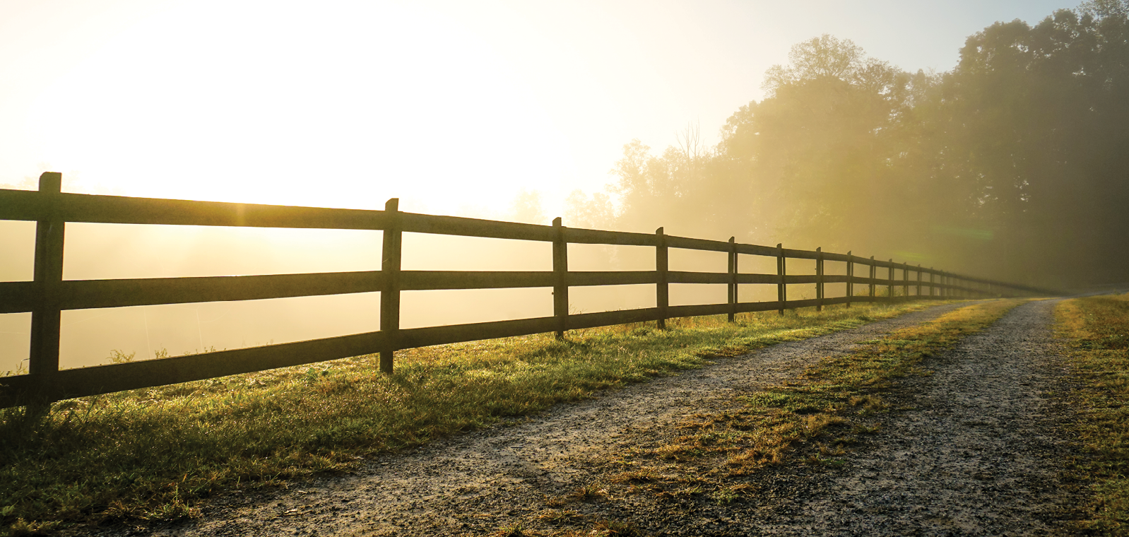 Fence in the countryside