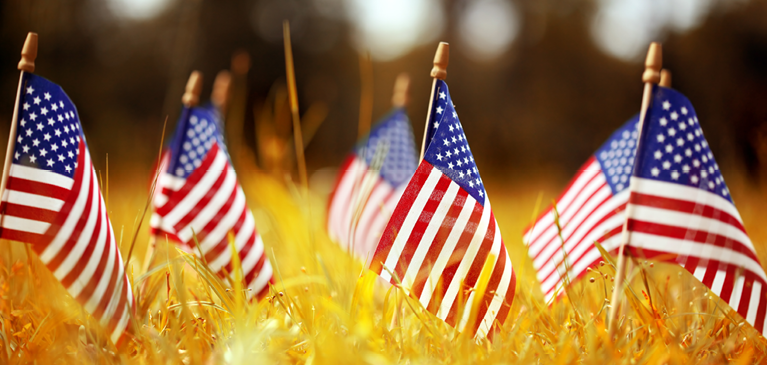 US Flags in the Ground