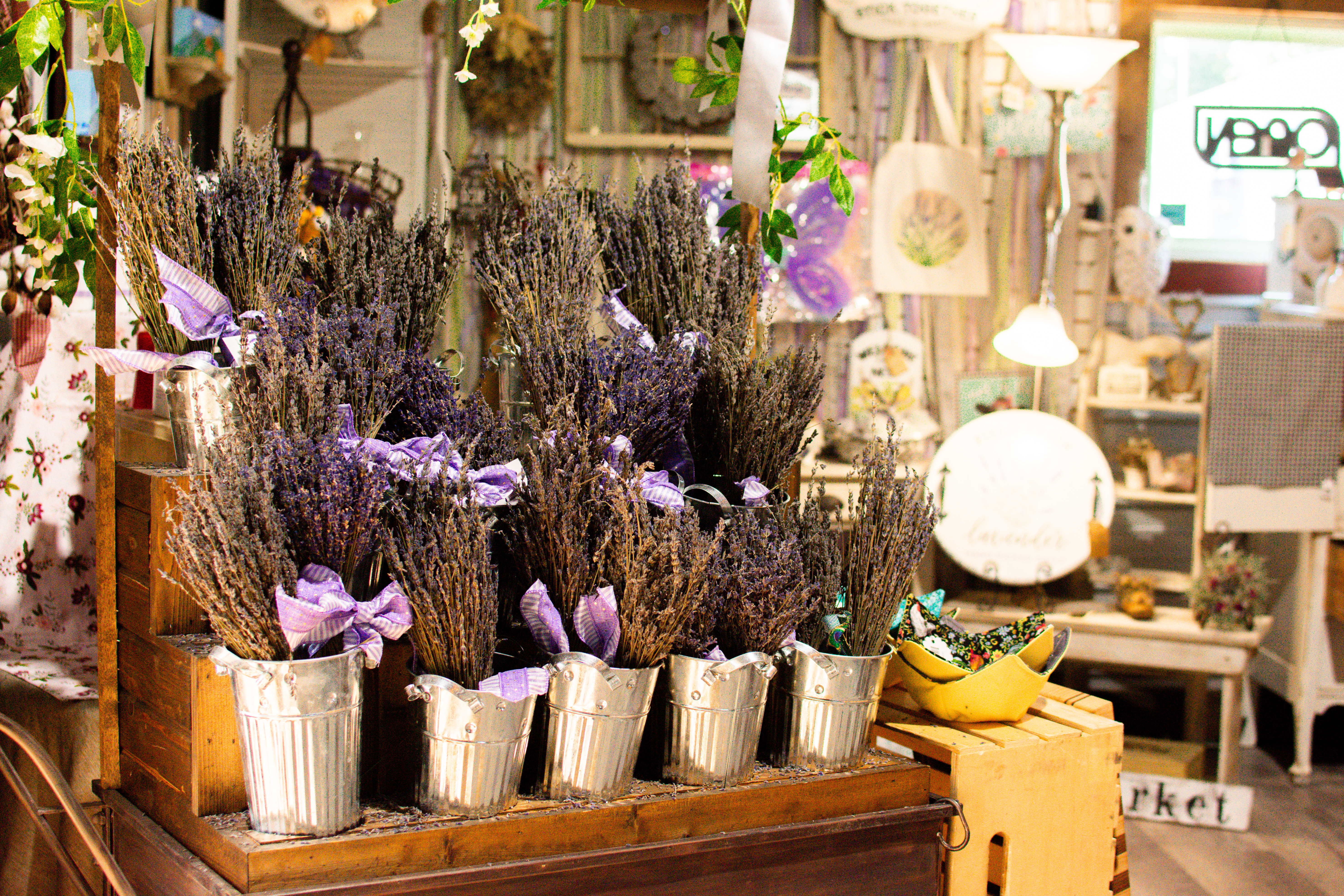 GreenStone is proud to support farmers with a variety of products, like lavender. 