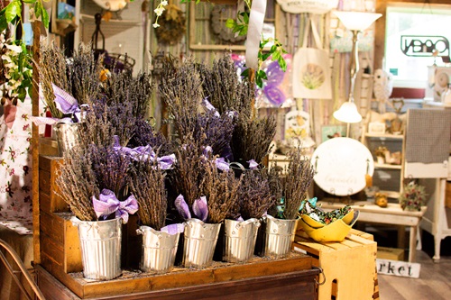 GreenStone is proud to support farmers with a variety of products, like lavender.