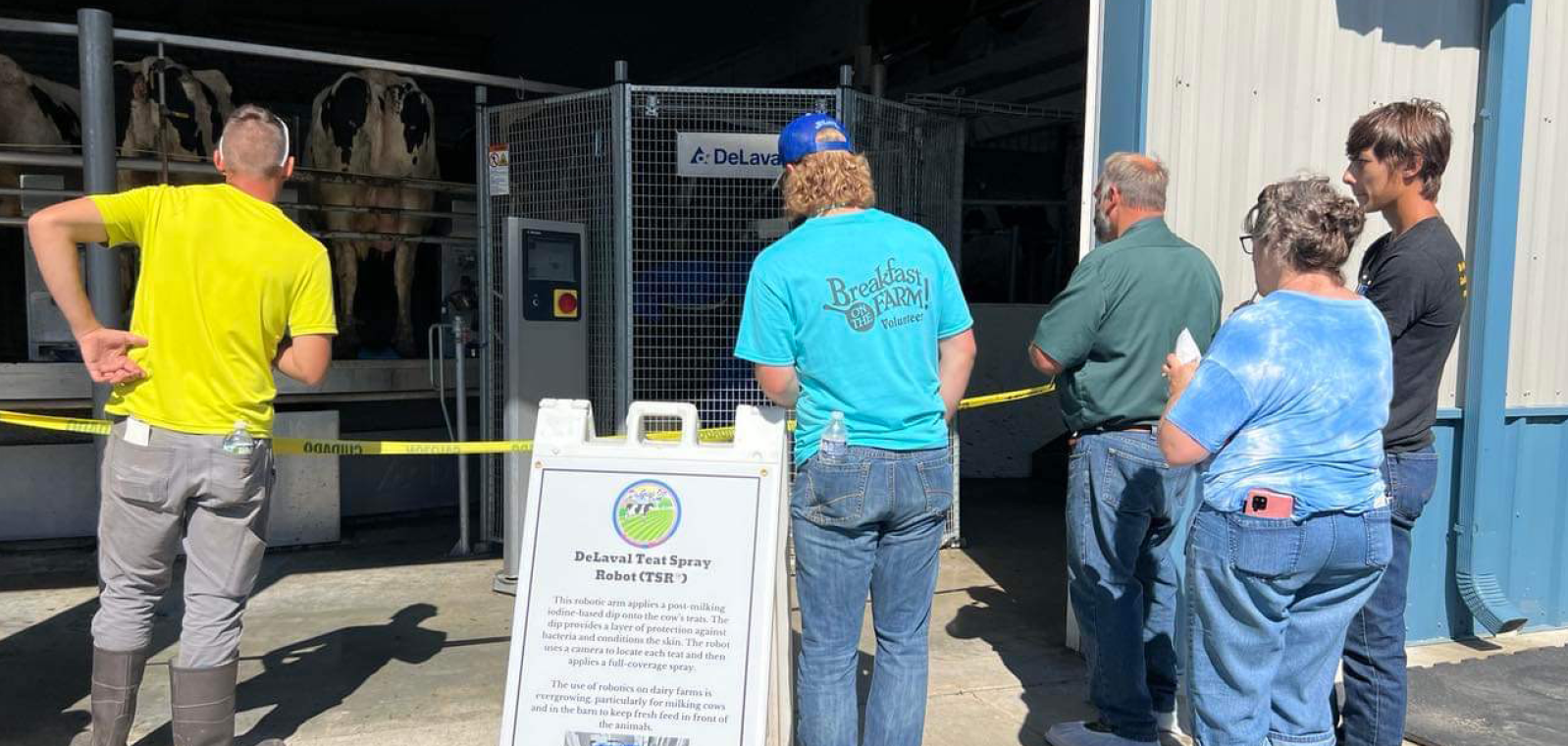 People standing around looking at cows