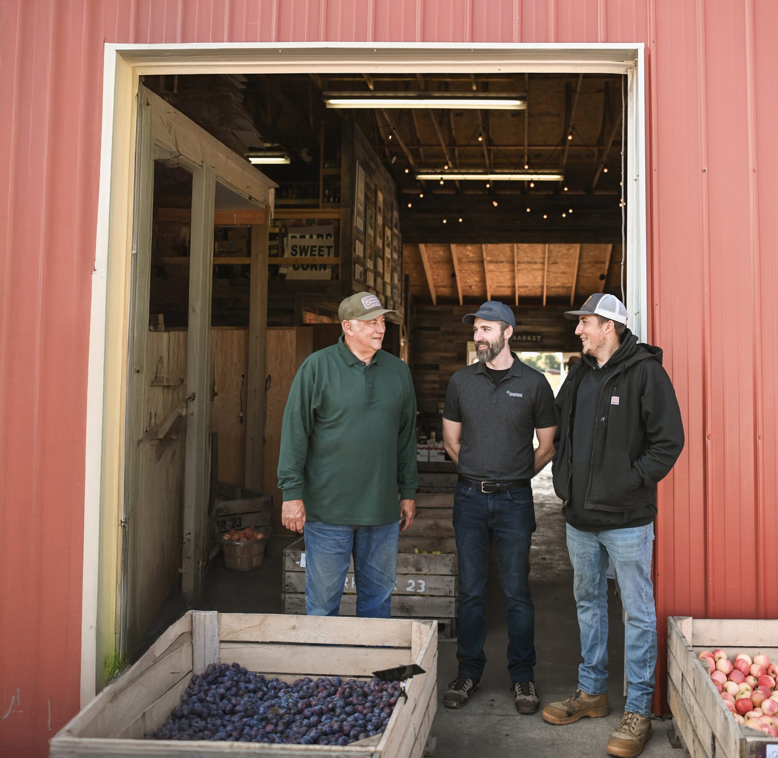 Three farmer stand among their fruit crops talking