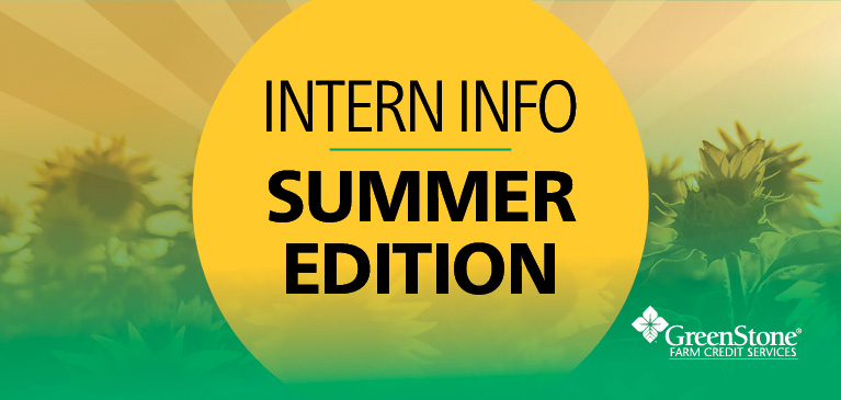 Meet the summer interns