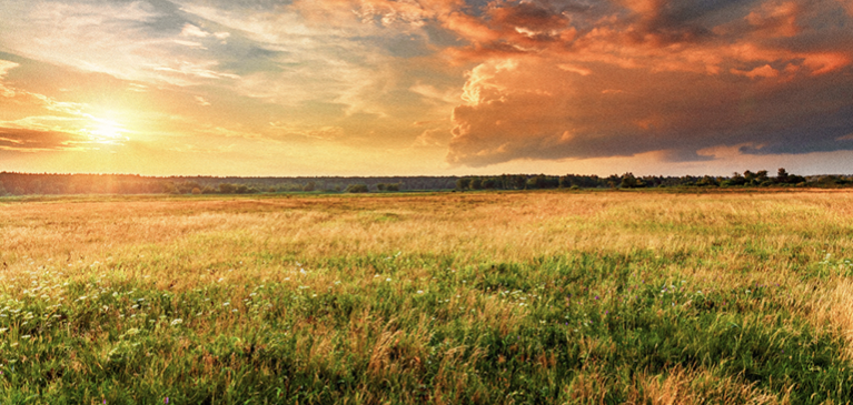 Which country living loan is right for you?