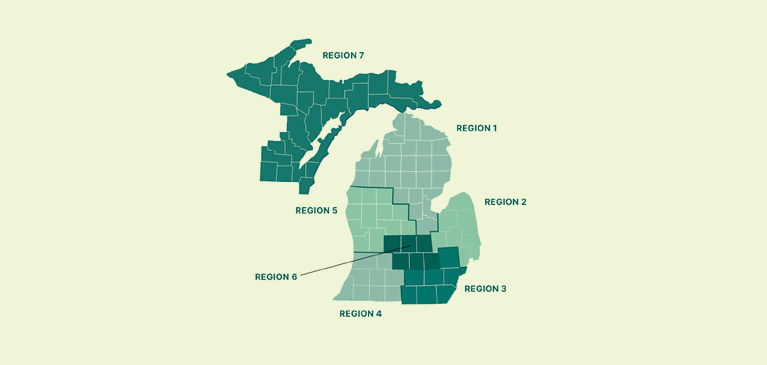 GreenStone member elections