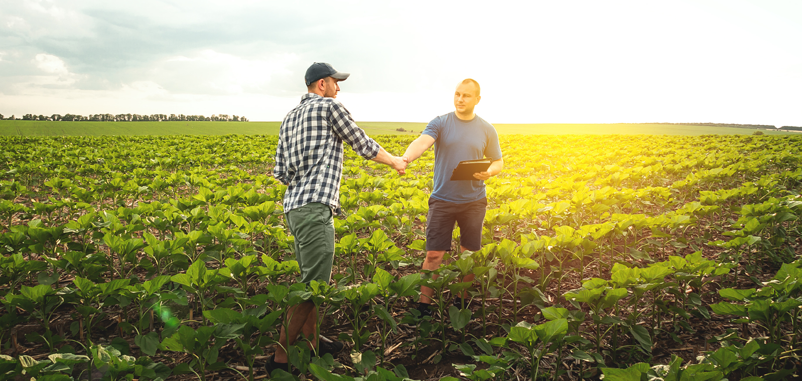 GreenStone's financial experts are ready to meet you in the fields to help develop a plan for success!