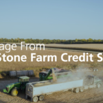 Farm at harvest time