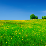 GreenStone finance's vacant land like this beautiful landscape.