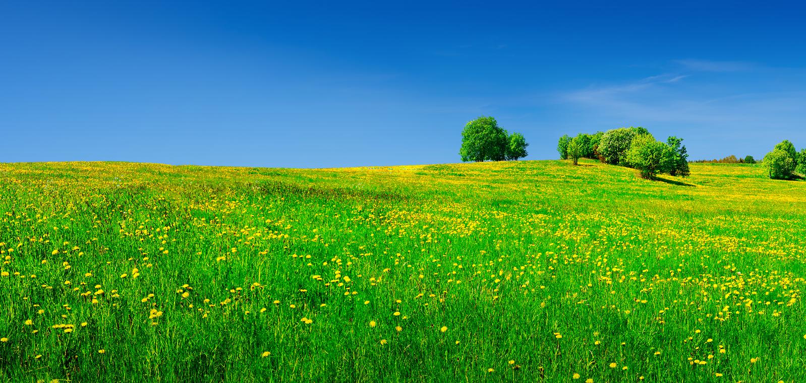 GreenStone finance's vacant land like this beautiful landscape.
