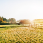 The value of land continues to increase