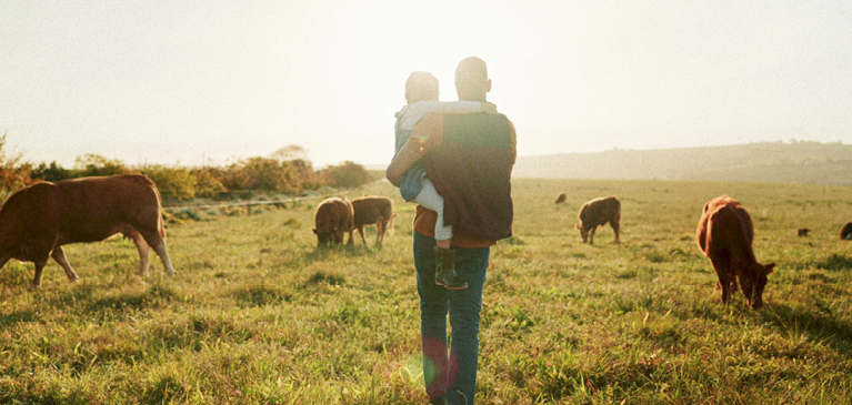 Land benchmark results