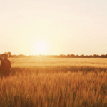 Managing a growing farm