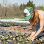 Farmer in a field