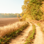 Dirt road on recreational property