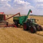 green and red tractors harvesting wheat fields in the summer on cloudy day.