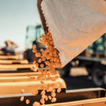 Financial checkpoints during planting season