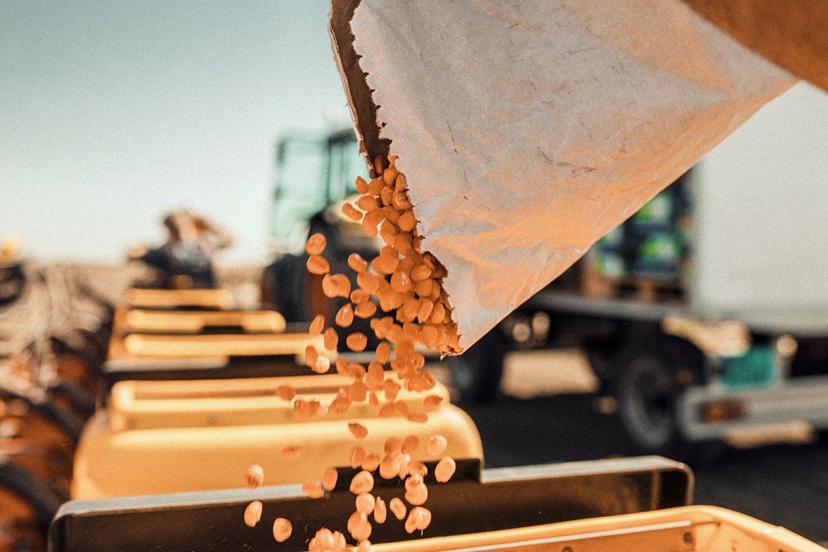 Financial checkpoints during planting season